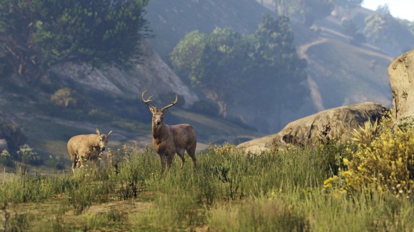 RSG_GTAV_NG_Screenshot_033