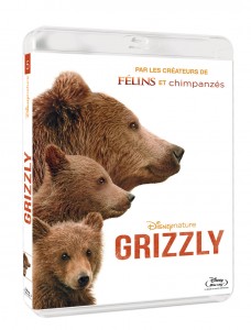 grizzly-brd