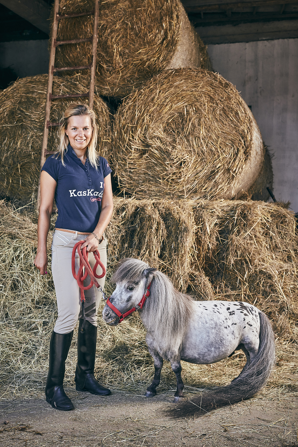 En images : Pumuckel, le plus petit poney du monde fait fondre l